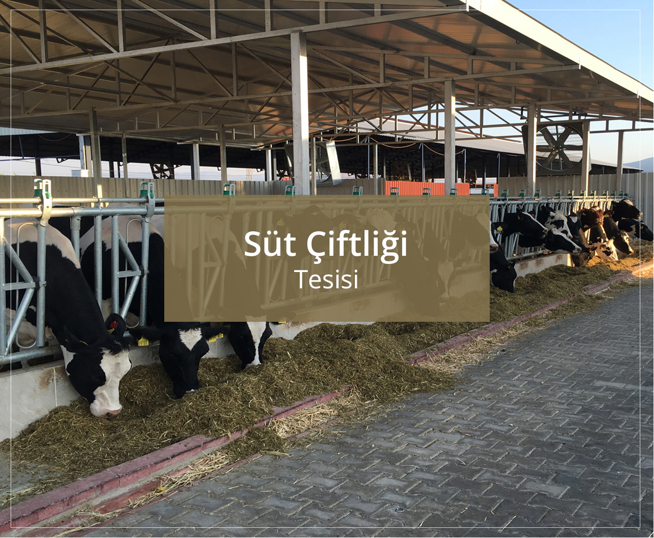 İzmir Süt Çiftliği